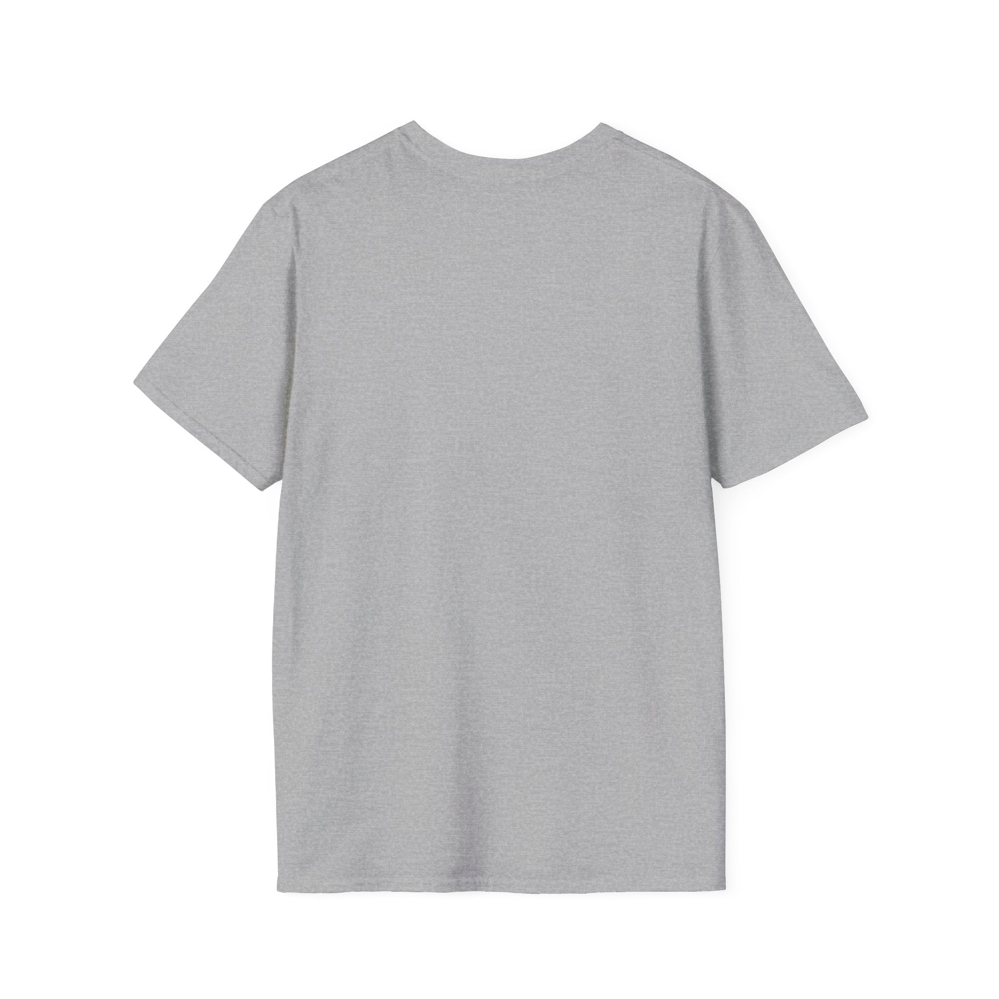 Sword Swings to Formulas T-Shirt